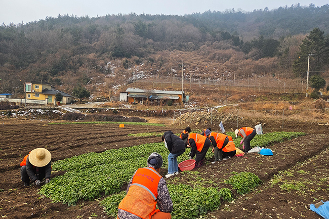 영농사업단 사진
